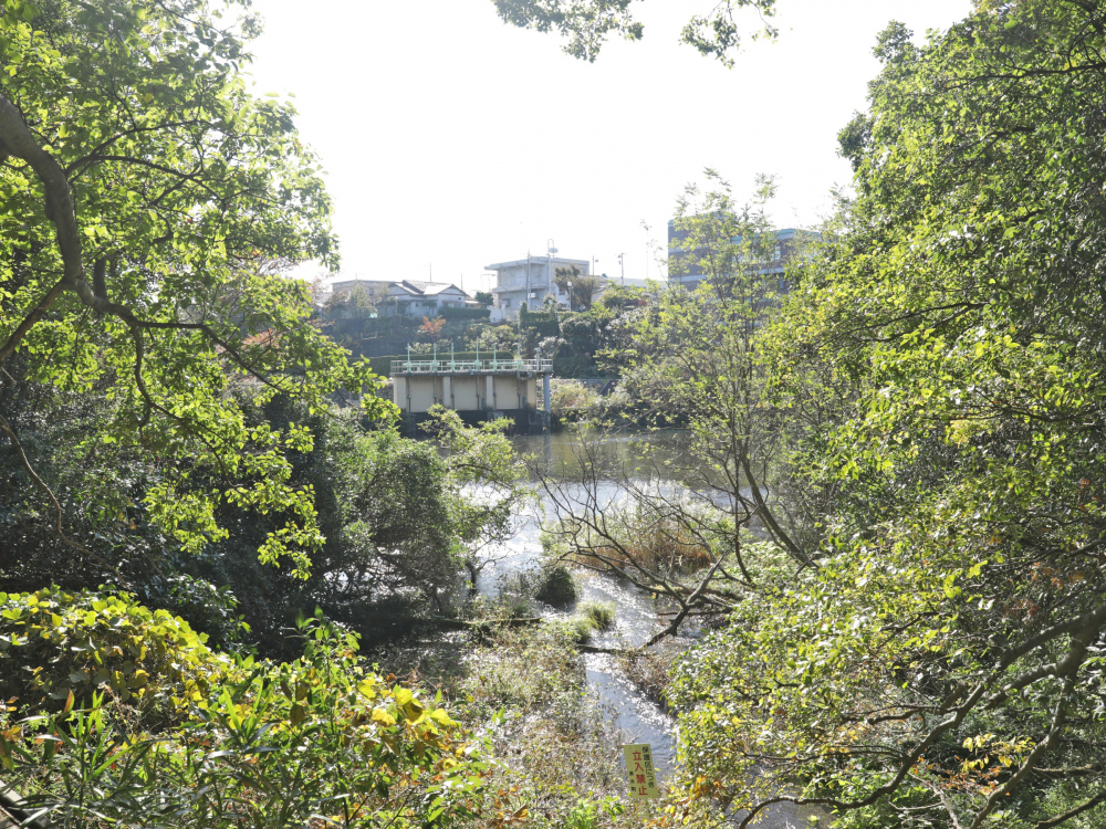 駿東郡清水町の住みやすさを知る 静岡県 アットホーム タウンライブラリー