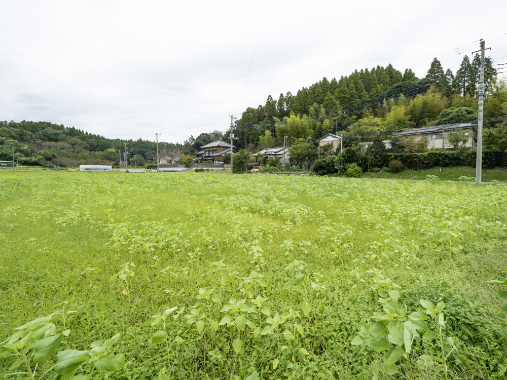 大網白里市の住みやすさを知る｜千葉県【アットホーム タウンライブラリー】