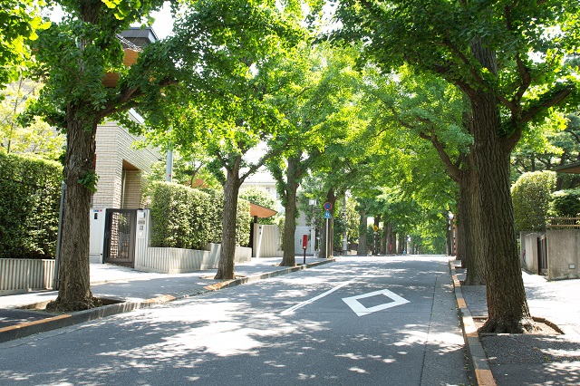 【大阪府住宅地限定ランキング】弊社の独断目線｜家を探す人が多い人気エリアはどこ？詳細場所を徹底解説